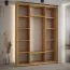 Kleiderschrank Tharo mit Schiebetüren in Eiche/Schwarz, 235,2 x 170 x 45 cm, moderne Optik, viel Stauraum, auch für Wohnzimmer geeignet, Anti Staubbürsten