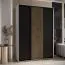 Kleiderschrank Tharo mit Schiebetüren in Weiß/Schwarz gehalten, viel Stauraum, auch für Wohnzimmer geeignet, Anti Staubbürsten, 235,2 x 170 x 45 cm