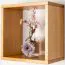 Hängeregal / Wandregal Kiefer massiv Vollholz Erlefarben Junco 291B - 35 x 35 x 20 cm (H x B x T)