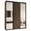 Kleiderschrank Mina mit Schiebetüren und Spiegeln in Eiche/Schwarz, viel Stauraum, auch für Wohnzimmer geeignet, Anti Staubbürsten, 235,2 x 190 x 60 cm