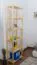 Regal 200 X 60