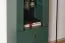 Vitrine Inari 01, Farbe: Waldgrün - Abmessungen: 190 x 55 x 40 cm (H x B x T), mit 1 Tür, 2 Schubladen und 4 Fächern