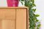 Kleiderschrank | 2 Drehtüren | 6 Fächer | 2 Schubladen | mit Kleiderstange | 90 cm breit | Massivholz | Farbe: Natur Abbildung