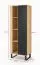 Bücherregal | Farbe: Eiche Artisan / Schwarz | Push-to-open Funktion | 1 Tür | Maße: 60 x 40 x 174 cm | 8 Fächer | Türanschlag wechselbar | Beine: Metall