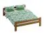 Neutrales Jugendbett Llorts 12, Kiefer Vollholz massiv, Farbe: Eiche - Liegefläche: 120 x 200 cm (B x L)