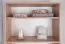 Bücherregal Cuarto 07, Farbe: Eiche Sonoma - 173 x 80 x 34 cm (H x B x T)