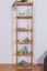 Regal Kiefer massiv Vollholz Erlefarben Junco 54D - 200 x 50 x 30 cm (H x B x T)