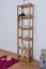 Regal Kiefer massiv Vollholz Erlefarben Junco 54D - 200 x 50 x 30 cm (H x B x T)