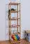 Regal Kiefer massiv Vollholz Erlefarben Junco 54D - 200 x 50 x 30 cm (H x B x T)