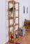 Regal Kiefer massiv Vollholz Erlefarben Junco 54D - 200 x 50 x 30 cm (H x B x T)