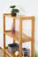 Regal Kiefer massiv Vollholz Erlefarben Junco 56B - 125 x 70 x 30 cm (H x B x T)