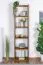 Regal Kiefer massiv Vollholz Eichefarben 001 - Abmessung 200 x 50 x 30 cm (H x B x T)