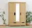 Kleiderschrank / Drehtürenschrank Kiefer massiv Vollholz natur 008 - Abmessung 190 x 120 x 60 cm (H x B x T)