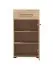 Garderobe Komplett - Set A Paduna, 5-teilig, Farbe: Eiche Artisan, ein Garderobenschrank, eine Kommode, ein Schuhschrank mit Sitzkissen, Spiegel und Garderobe mit 6 Haken