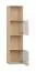 Bücherregal im neutralen Design Aenna 58, Farbe: Eiche / Weiß, zwei Türen, Maße: 202,5 x 50,5 x 35 cm, Griffe: Eiche, verstellbare Füße, vier Fächer