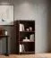 Regal Mojokerto 09, Farbe: Walnuss / Schwarz - Abmessungen: 121 x 60 x 39 cm (H x B x T)